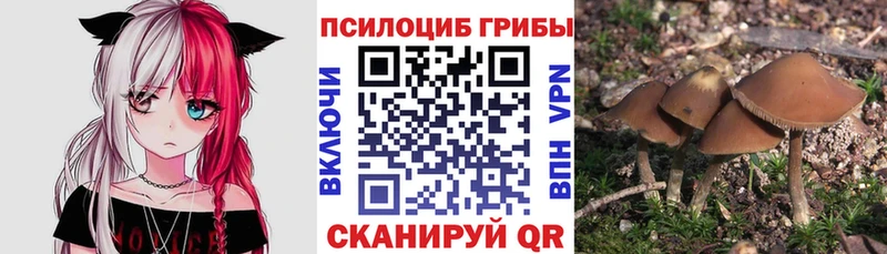 сайты даркнета формула  Белорецк  Галлюциногенные грибы мухоморы  купить  сайты 